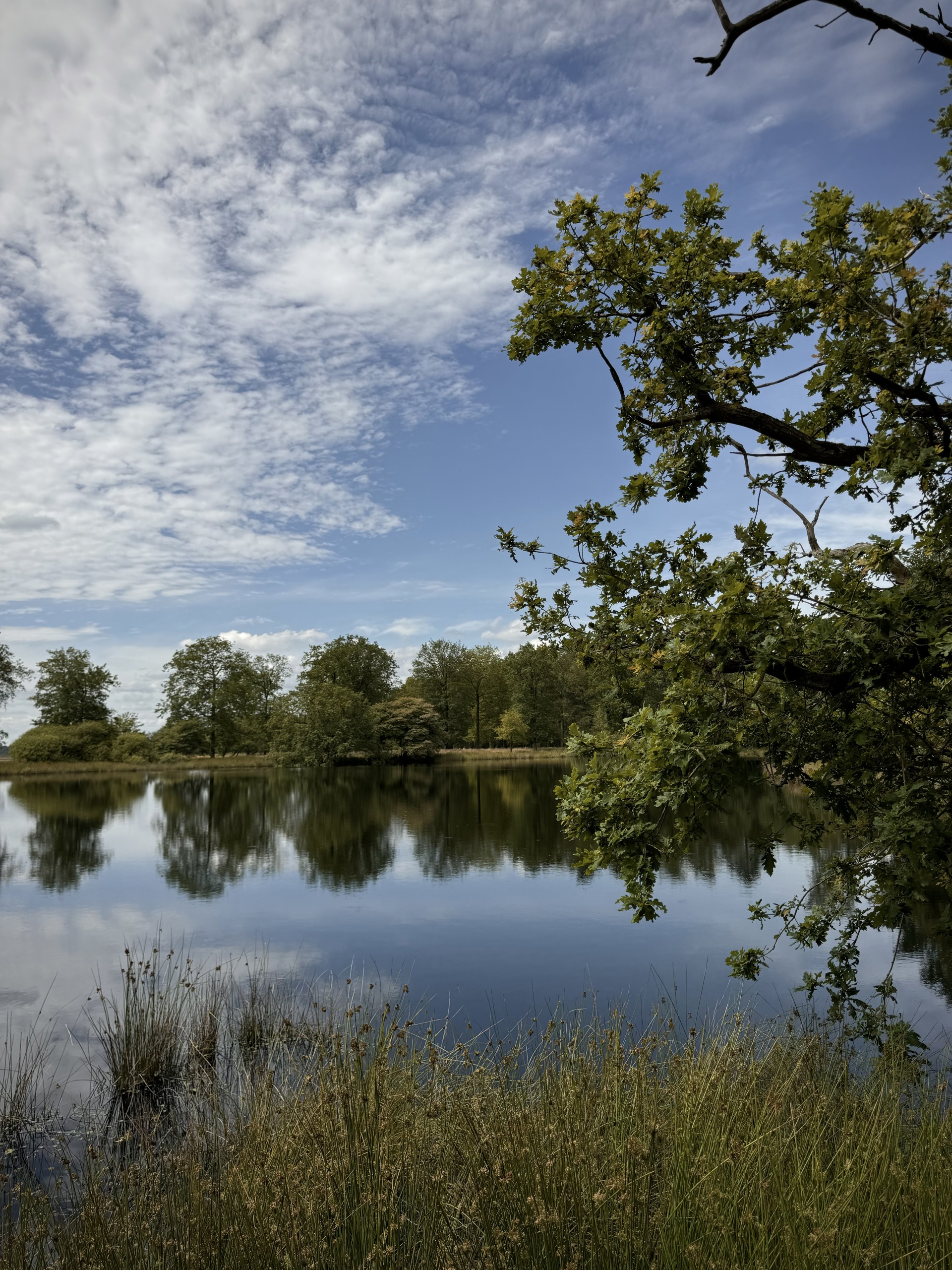 Natuur Dretsche AA Drenthe
